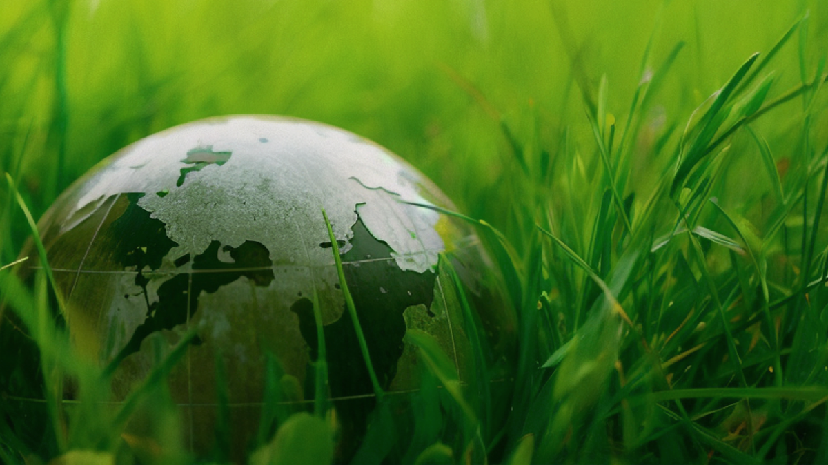 積極響應(yīng)國家綠色環(huán)保要求，我司公布2023年度碳系列認證審核報告！